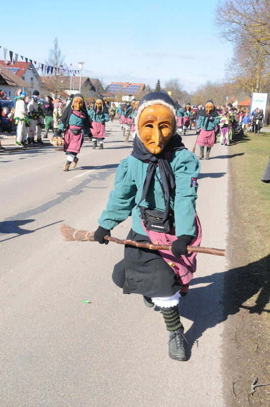 Narrenumzug in Oberstetten 23. Februar 2014