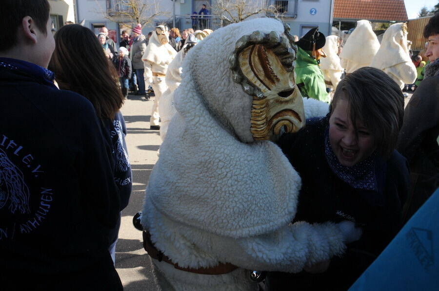 Narrenumzug in Oberstetten 23. Februar 2014