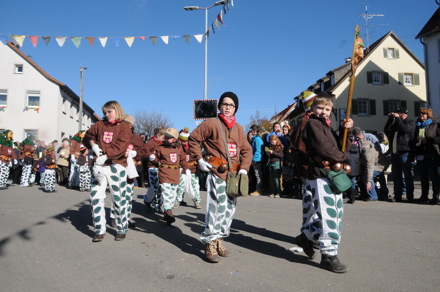 Narrenumzug in Oberstetten 23. Februar 2014