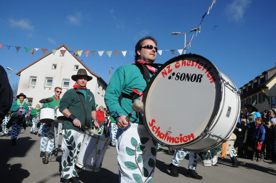 Narrenumzug in Oberstetten 23. Februar 2014