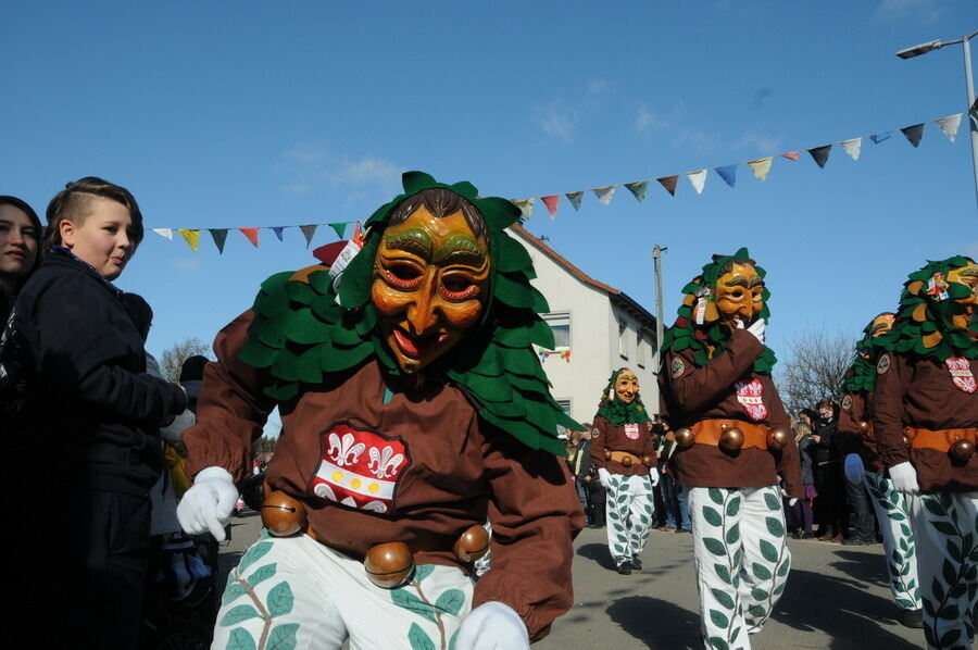 Narrenumzug in Oberstetten 23. Februar 2014