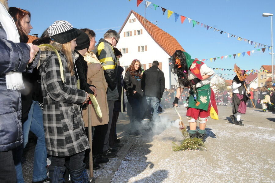 Narrenumzug in Oberstetten 23. Februar 2014