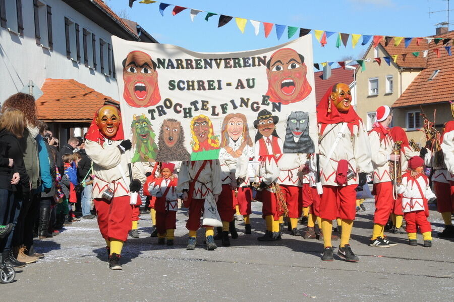 Narrenumzug in Oberstetten 23. Februar 2014