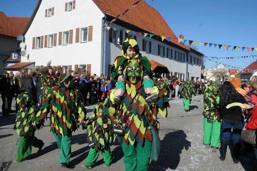 Narrenumzug in Oberstetten 23. Februar 2014