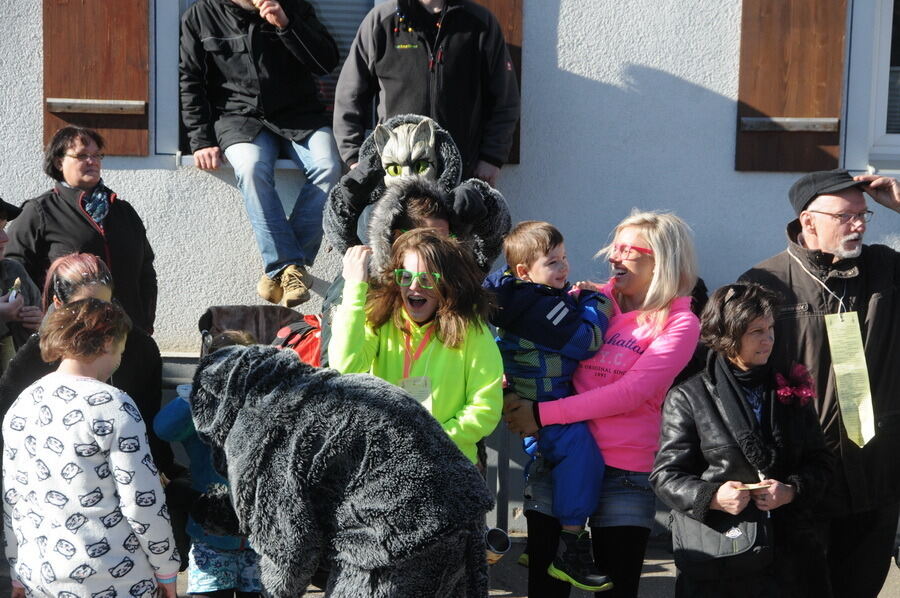 Narrenumzug in Oberstetten 23. Februar 2014