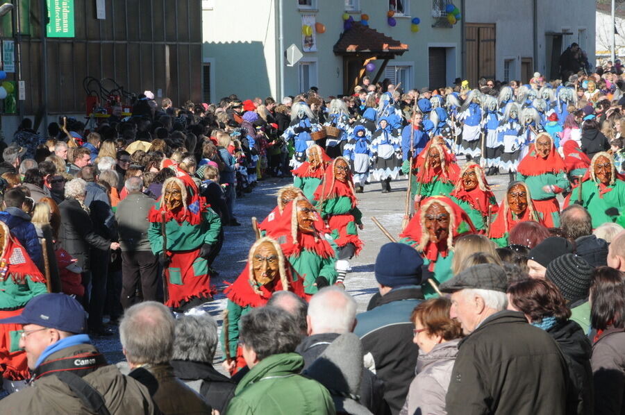 Narrenumzug in Oberstetten 23. Februar 2014