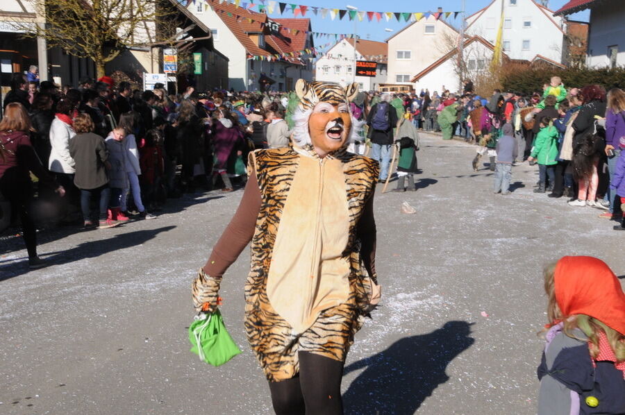 Narrenumzug in Oberstetten 23. Februar 2014