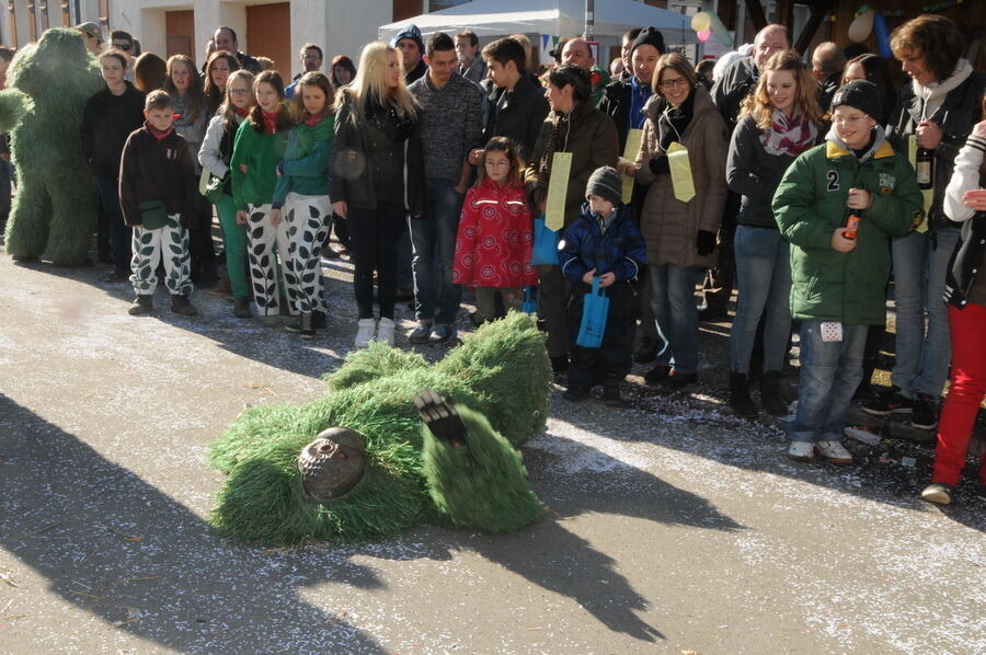 Narrenumzug in Oberstetten 23. Februar 2014