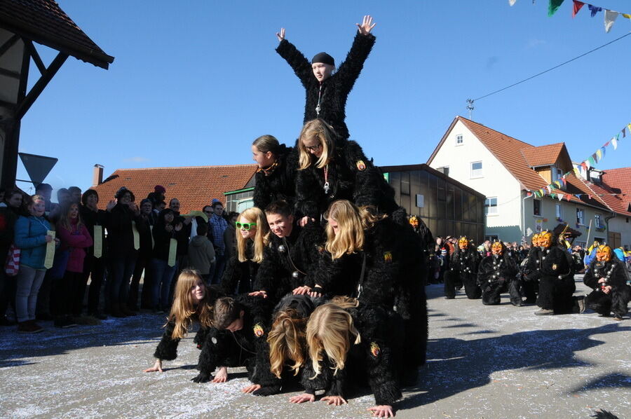 Narrenumzug in Oberstetten 23. Februar 2014