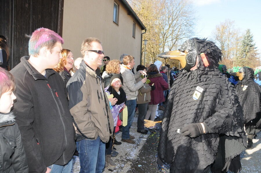 Narrenumzug in Oberstetten 23. Februar 2014