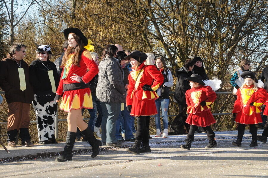 Narrenumzug in Oberstetten 23. Februar 2014