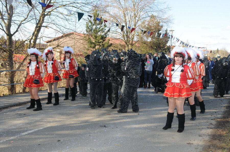 Narrenumzug in Oberstetten 23. Februar 2014