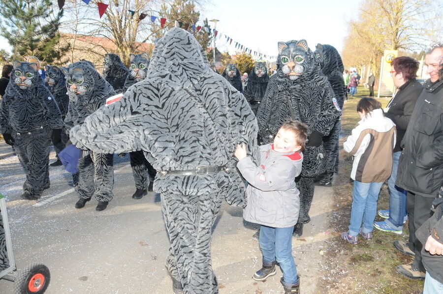 Narrenumzug in Oberstetten 23. Februar 2014