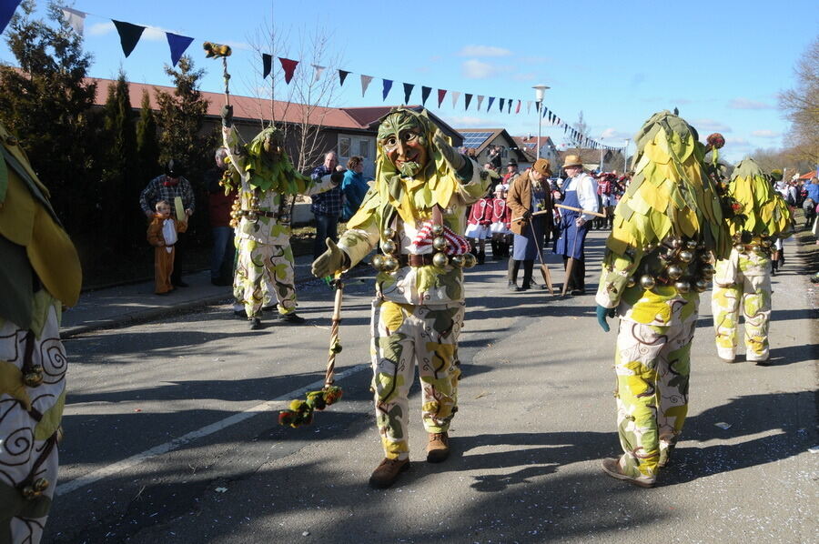 Narrenumzug in Oberstetten 23. Februar 2014