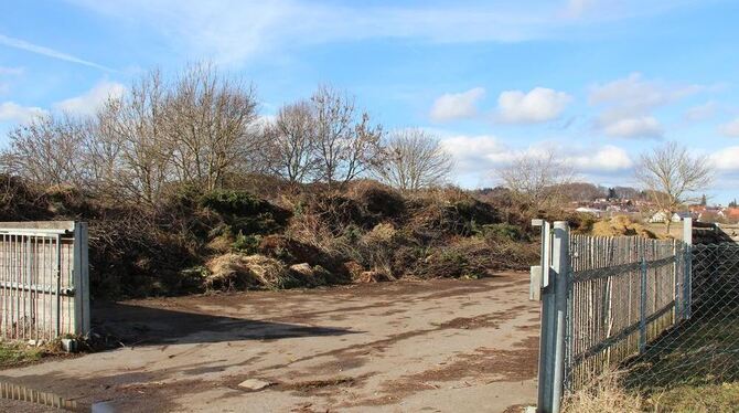 Noch ist freie Fahrt in den ausgeräumten St. Johanner Häckselplatz, bis ein neuer Zaun samt Toren installiert sind. GEA-FOTO: Noch ist freie Fahrt in den ausgeräumten St. Johanner Häckselplatz, bis ein neuer Zaun samt Toren installiert sind. GEA-FOTO: