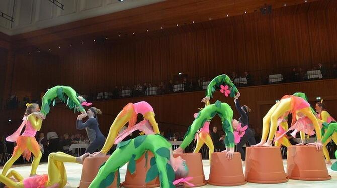 Die "Gym Meß tics" vom TSV Meßstetten verzauberten das Publikum mit ihrer fantasievollen Darbietung mit dem Titel "Auf einer Blu