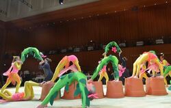 Die "Gym Meß tics" vom TSV Meßstetten verzauberten das Publikum mit ihrer fantasievollen Darbietung mit dem Titel "Auf einer Blu