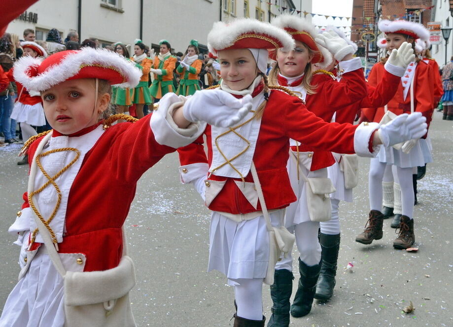 Fasnetsumzug Trochtelfingen Rosenmontag 2014