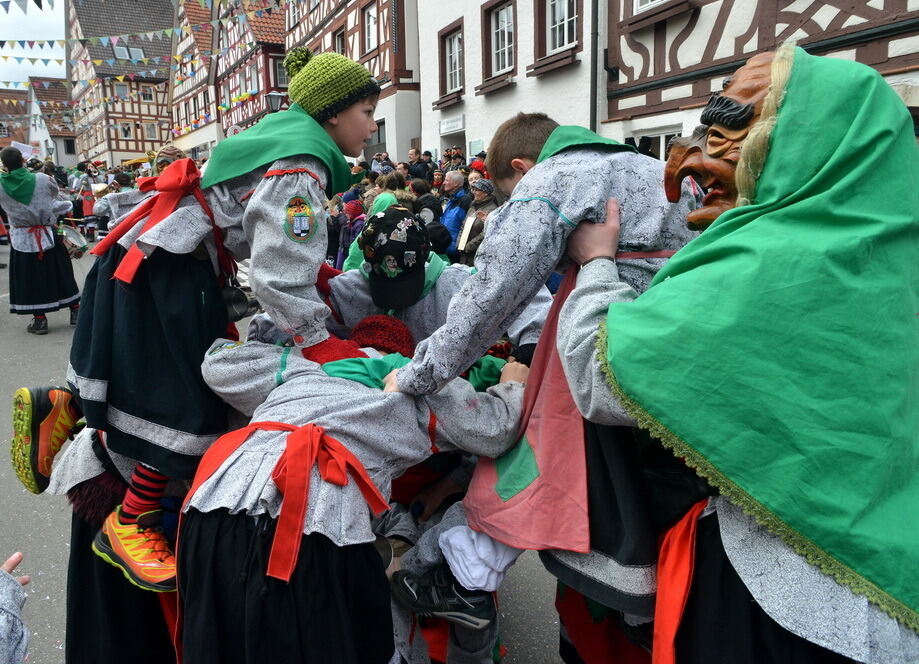 Fasnetsumzug Trochtelfingen Rosenmontag 2014