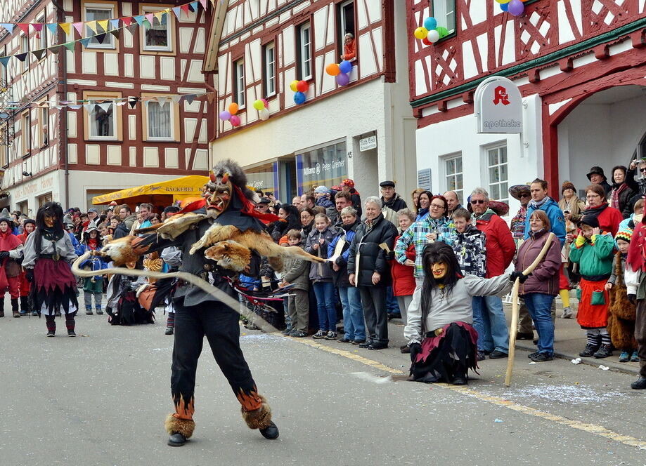 Fasnetsumzug Trochtelfingen Rosenmontag 2014
