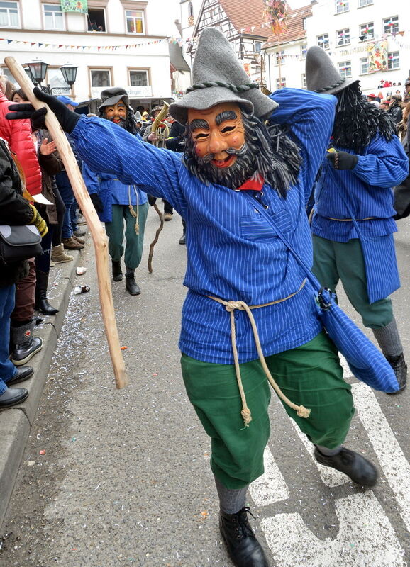 Fasnetsumzug Trochtelfingen Rosenmontag 2014