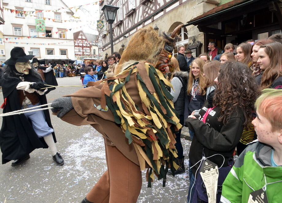 Fasnetsumzug Trochtelfingen Rosenmontag 2014