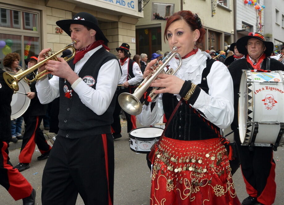 Fasnetsumzug Trochtelfingen Rosenmontag 2014