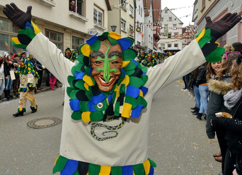 Fasnetsumzug Trochtelfingen Rosenmontag 2014