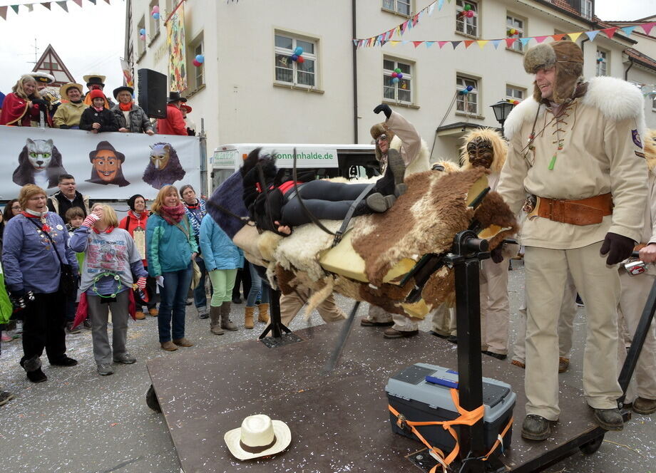 Fasnetsumzug Trochtelfingen Rosenmontag 2014