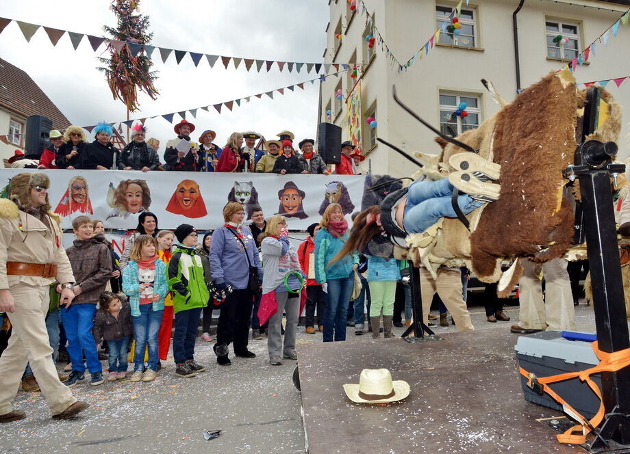 Fasnetsumzug Trochtelfingen Rosenmontag 2014