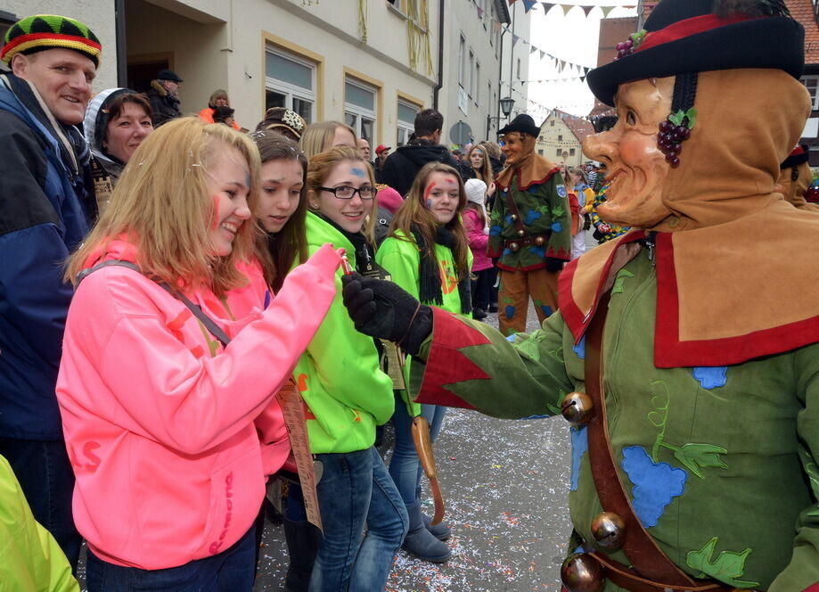 Fasnetsumzug Trochtelfingen Rosenmontag 2014