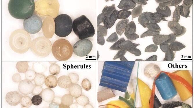 Die Aufnahmen der Universität Wien zeigen verschiedene Arten von kleinem Plastikmüll, wie er in der Donau gefunden wurde. Fot