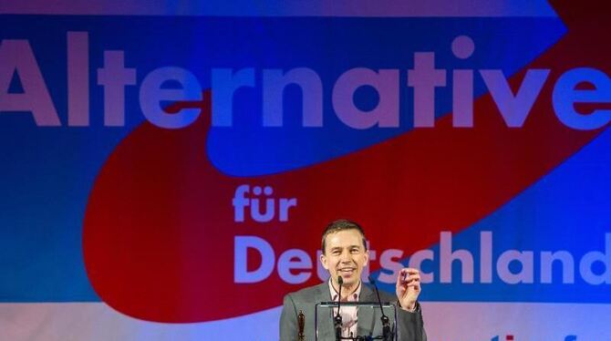Bernd Lucke, AfD-Spitzenkandidat für die Europawahl, Anfang März beim Politischen Aschermittwoch seiner Partei. Foto: Marc Mü