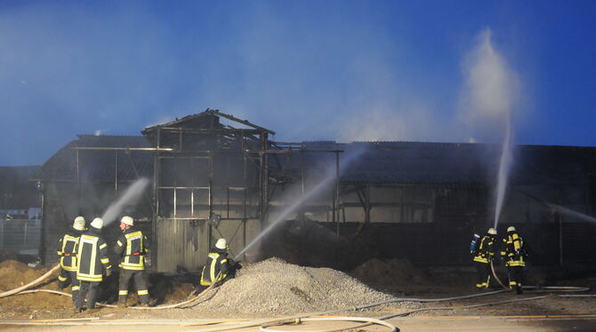 Ein Großfeuer hat eine leer stehende Lagerhalle in Ammerbuch-Pfäffingen zerstört.FOTO: MEYER
