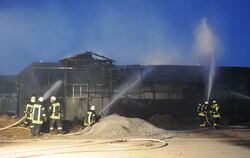 Ein Großfeuer hat eine leer stehende Lagerhalle in Ammerbuch-Pfäffingen zerstört.FOTO: MEYER