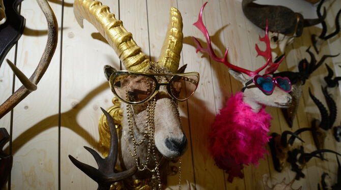Bunt gestaltete Tierpräparate hängen in Kernen im Remstal in der Geweihmanufaktur an der Wand. Foto: dpa