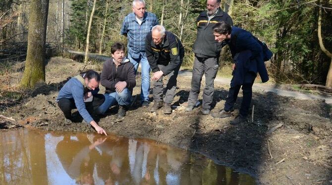 Gelbbauchunken-Paradies: Amphibienexperte Hubert Laufer (von links) begutachtete mit Jürgen Tröge (Reptilien-Amphibien-Neckar-Al