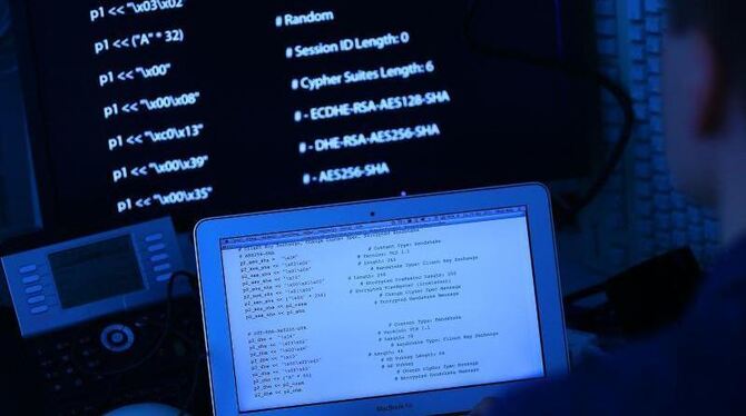 Mehrere Internetseiten der Nato sind Ziel eines Hackerangriffs geworden. Foto: Oliver Berg/Archiv