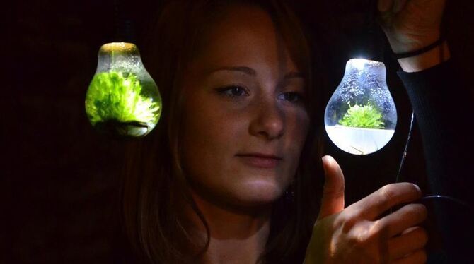 Poesie auf kleinsten Raum. Die Erfurterin Barbara Weinlich sorgte mit ihrem Werk »Habitat« 2012 für Aufsehen.  GEA-ARCHIVFOTO: S