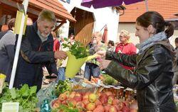 Rechtzeitig zur Eröffnung der Tulpenblüte tauchten Tausende Blumen Gönningen in ein Farbenmeer. Entsprechend war die Resonanz au