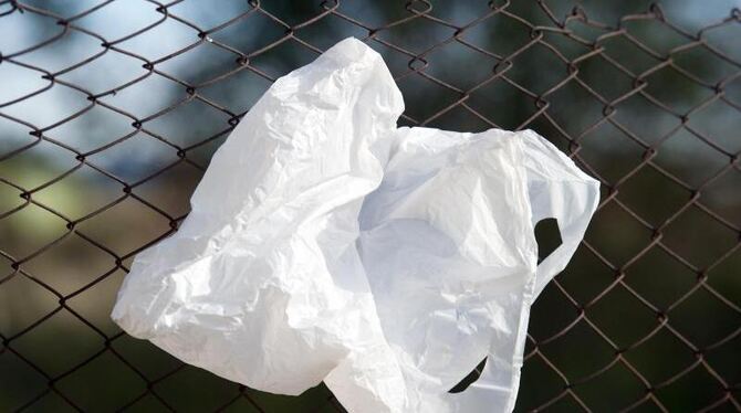 Den EU-Politikern ein Dorn im Auge - die leichten Plastiktüten, die am häufigsten genutzt werden, sollen verschwinden. Foto: