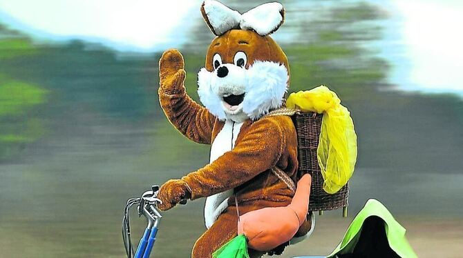Auch der Osterhase freut sich über die Sachkenntnis der GEA-Leser. FOTO: DPA