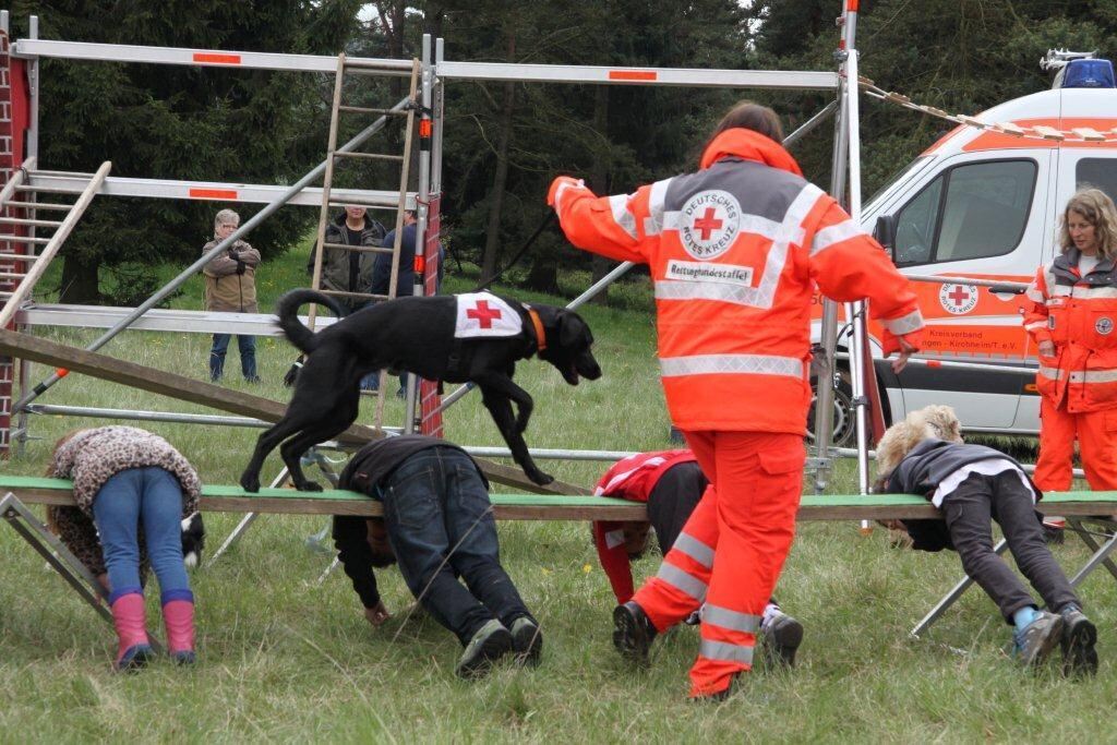 30. Oldtimer- und Dampfmaschinenfest Dottingen 2014