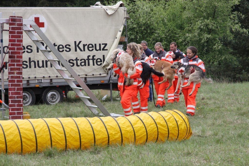 30. Oldtimer- und Dampfmaschinenfest Dottingen 2014