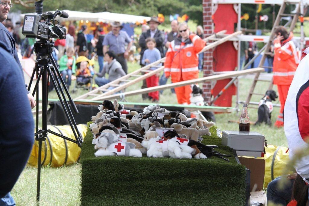 30. Oldtimer- und Dampfmaschinenfest Dottingen 2014