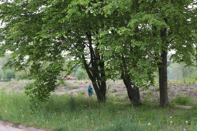 Rundgang Alte Weberei Lustnau