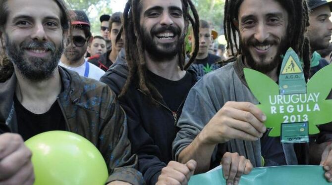 Im südamerikanischen Uruguay sind Anbau und Konsum von Marihuana mittlerweile legal. Foto: Sandro Pereyra