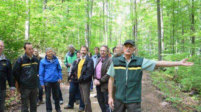 Der Eninger Gemeinderat war mit Forstdirektor Georg Kemmner (rechts) im Gemeindewald auf Tour.  FOTO: HOMOLKA