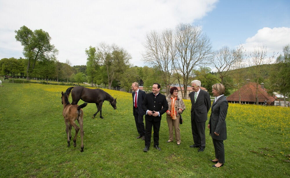 500 Jahre Haupt- und Landgestüt Marbach