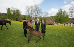 500 Jahre Haupt- und Landgestüt Marbach